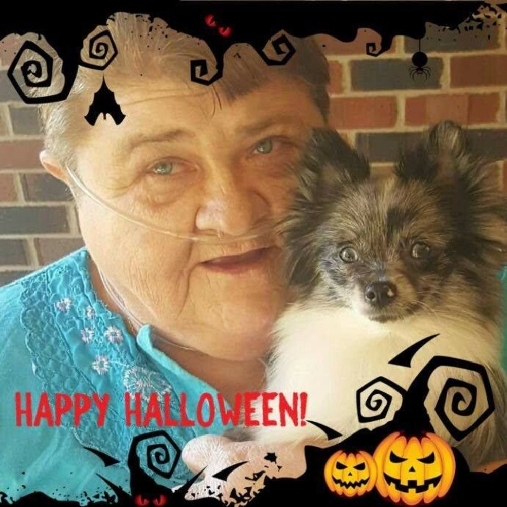 Meet your Posher, Fay